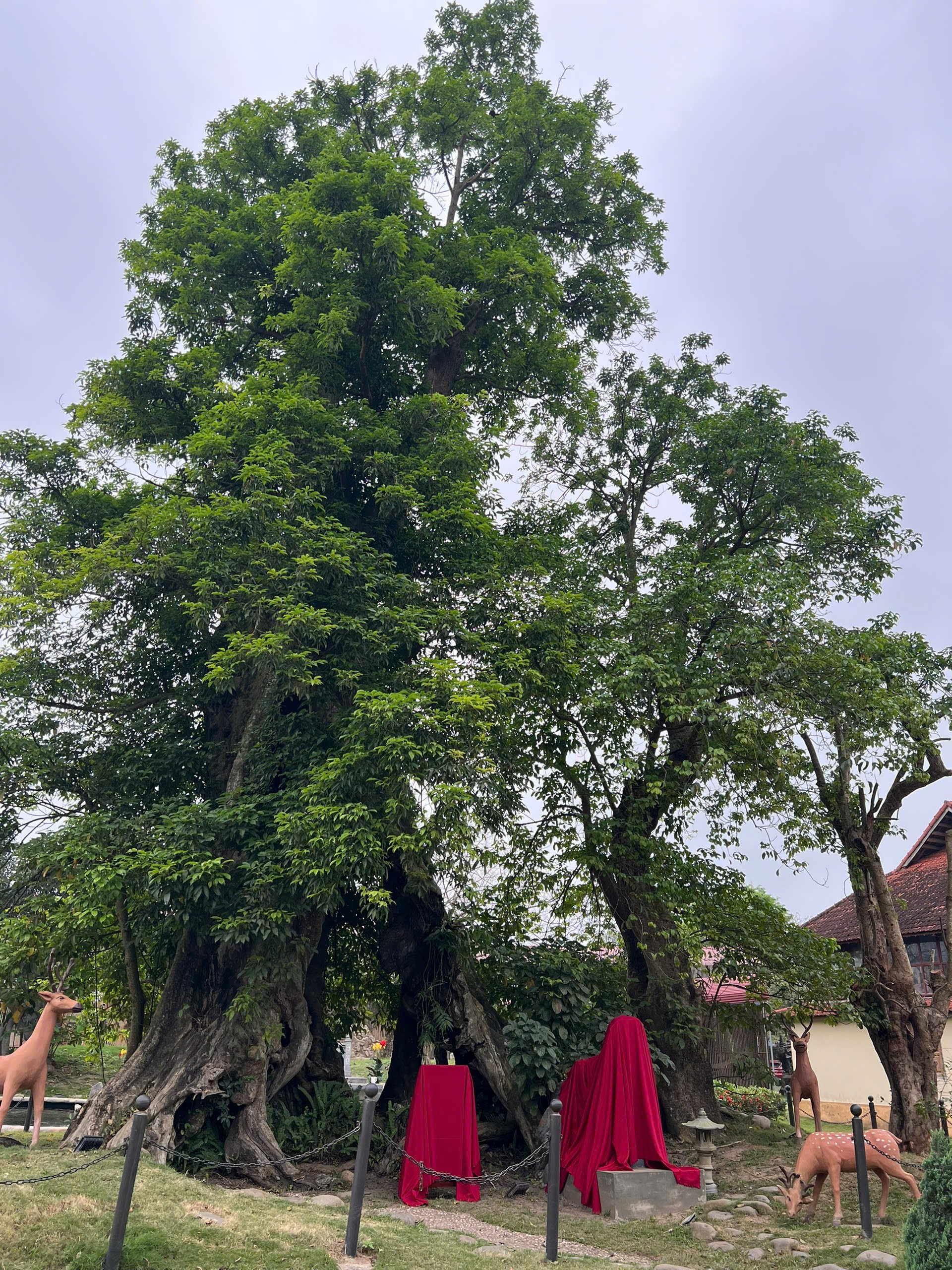 Thanh Hóa: Lan tỏa giá trị văn hóa truyền thống trong dòng chảy hiện đại