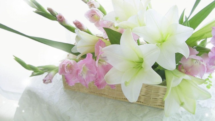 Dự báo thời tiết ngày 30/3/2026: Bắc Bộ có mưa rào và dông vài nơi