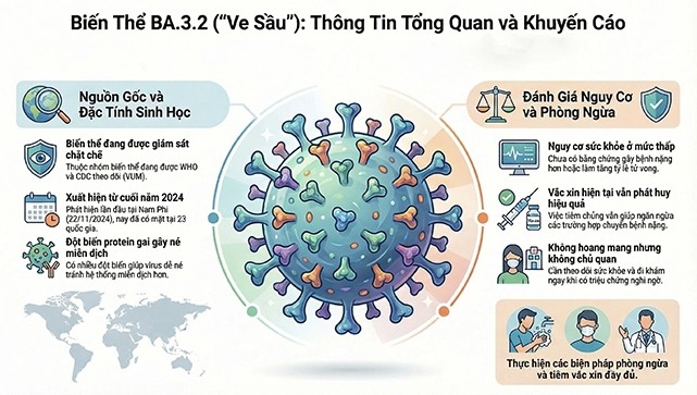 Những điều cần biết về biến thể COVID-19 "Ve sầu"