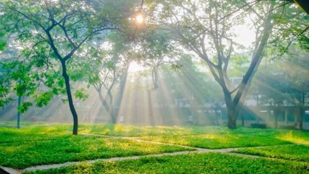 Dự báo thời tiết ngày 1/4/2026: Bắc Bộ có mưa dông vài nơi