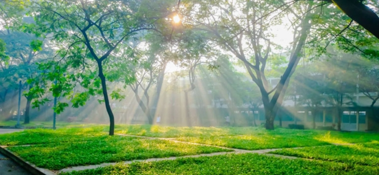 Dự báo thời tiết đêm nay và ngày mai 1/4: Hà Nội và các khu vực trên cả nước Dự báo thời tiết đêm nay và ngày mai 1/4: Hà Nội và các khu vực trên cả nước