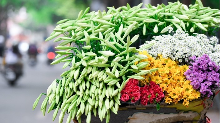 Dự báo thời tiết ngày 2/4/2026: Bắc Bộ nhiều mây, có mưa vài nơi