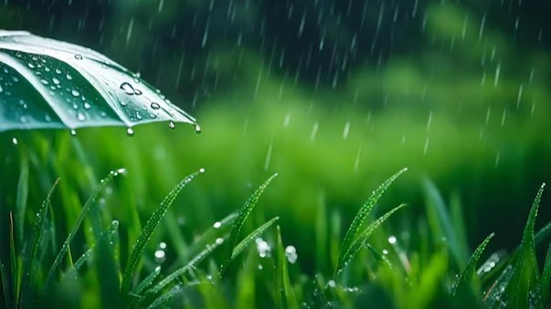 Dự báo thời tiết ngày 4/4/2026: Miền Bắc sáng sớm có mưa rào và dông