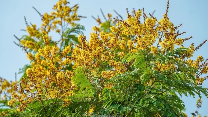 Dự báo thời tiết ngày 5/4/2026: Bắc Bộ ngày nắng, gió nhẹ