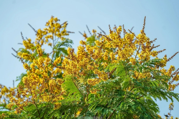 Dự báo thời tiết đêm nay và ngày mai 05/04: Hà Nội và các khu vực trên cả nước Dự báo thời tiết đêm nay và ngày mai 05/04: Hà Nội và các khu vực trên cả nước