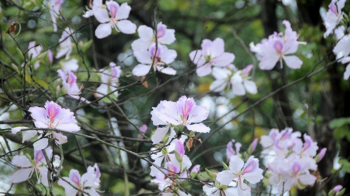 Dự báo thời tiết ngày 6/4/2026: Bắc Bộ có nơi nắng nóng