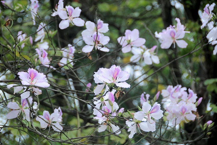 Dự báo thời tiết đêm nay và ngày mai 6/4: Hà Nội và các khu vực trên cả nước Dự báo thời tiết đêm nay và ngày mai 6/4: Hà Nội và các khu vực trên cả nước