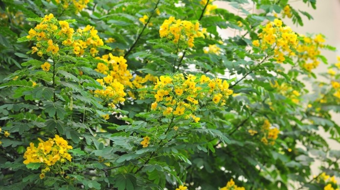 Dự báo thời tiết ngày 8/4/2026: Bắc Bộ nắng nóng, có nơi trên 38 độ C