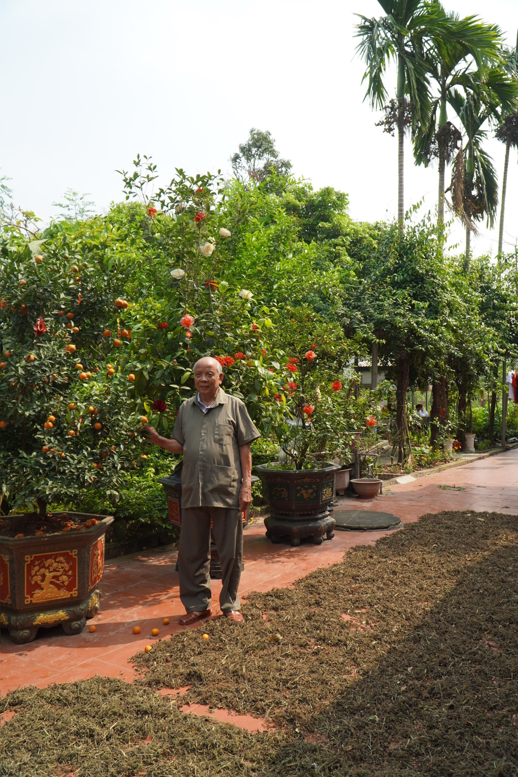 Lương y Nguyễn Văn Ca – Tấm lòng vàng của người thầy thuốc tuổi 90 vẫn miệt mài vì sức khỏe cộng đồng Lương y Nguyễn Văn Ca – Tấm lòng vàng của người thầy thuốc tuổi 90 vẫn miệt mài vì sức khỏe cộng đồng