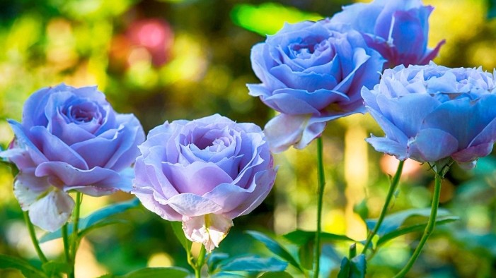 Dự báo thời tiết ngày 9/4/2026: Bắc Bộ nắng nóng, gió đông nam cấp 2-3