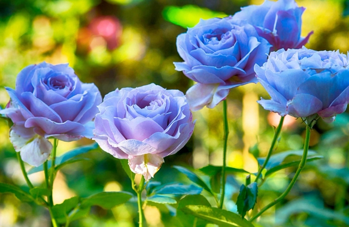 Dự báo thời tiết đêm nay và ngày mai 9/4: Hà Nội và các khu vực trên cả nước Dự báo thời tiết đêm nay và ngày mai 9/4: Hà Nội và các khu vực trên cả nước