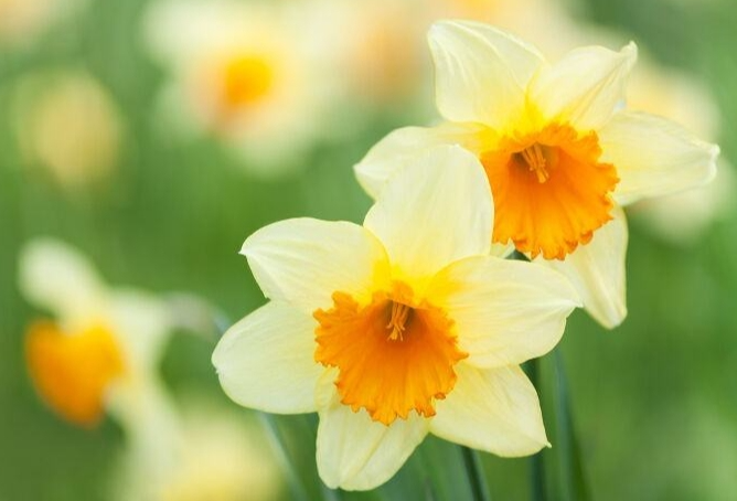 Dự báo thời tiết đêm nay và ngày mai 13/4: Hà Nội và các khu vực trên cả nước