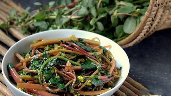 Rau Sam (portulaca oleracea l.) trong y học cổ truyền: cơ sở lý luận, bằng chứng khoa học và định hướng ứng dụng