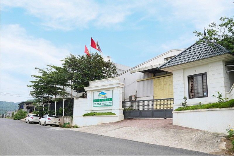 CEO Trương Mạnh Hải: Muốn đi đường dài, Nam dược phải bắt đầu từ cái gốc