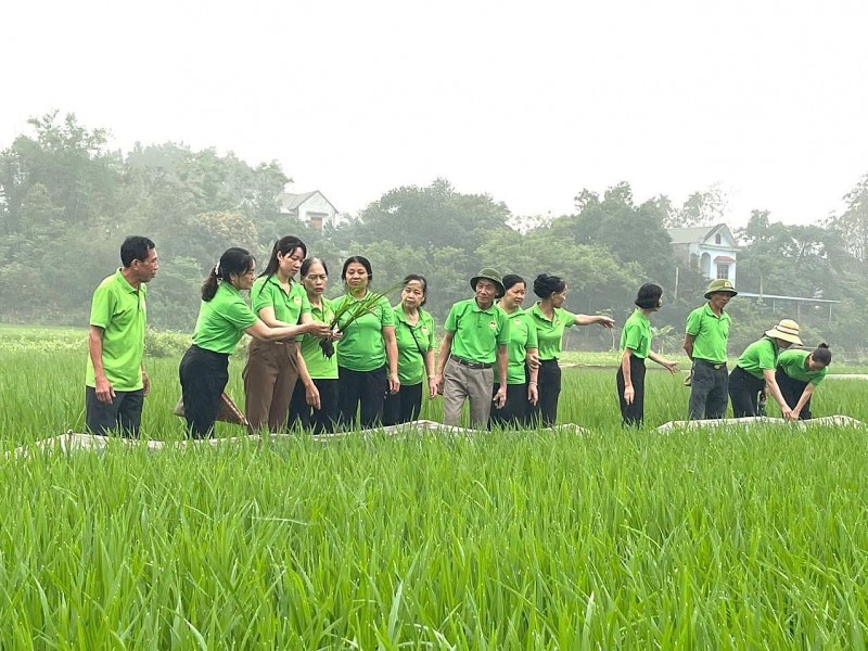 Phường Tích Lương: Khát vọng phát triển trong kỷ nguyên vươn mình