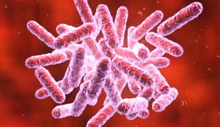 Bộ Y tế cảnh báo, đưa ra các biện pháp phòng ngừa bệnh "sốt đất"