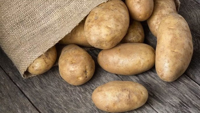 Chế độ ăn như thế nào giúp giảm nguy cơ sa sút trí tuệ?