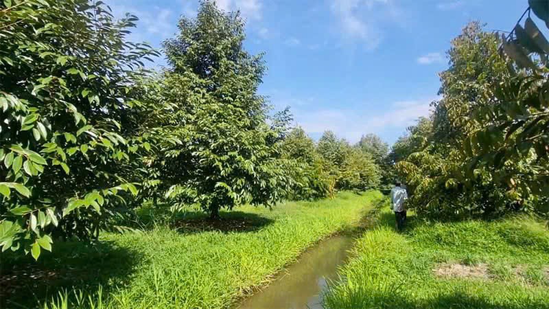 Khẳng định vị thế nông sản Việt trên thị trường trong và ngoài nước