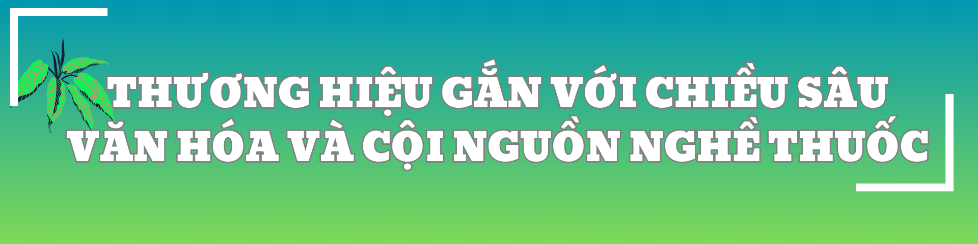 CEO Trương Mạnh Hải: Muốn đi đường dài, Nam dược phải bắt đầu từ cái gốc