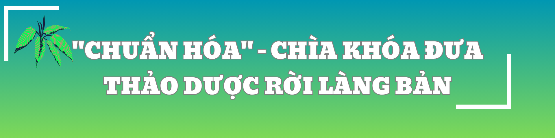 CEO Trương Mạnh Hải: Muốn đi đường dài, Nam dược phải bắt đầu từ cái gốc