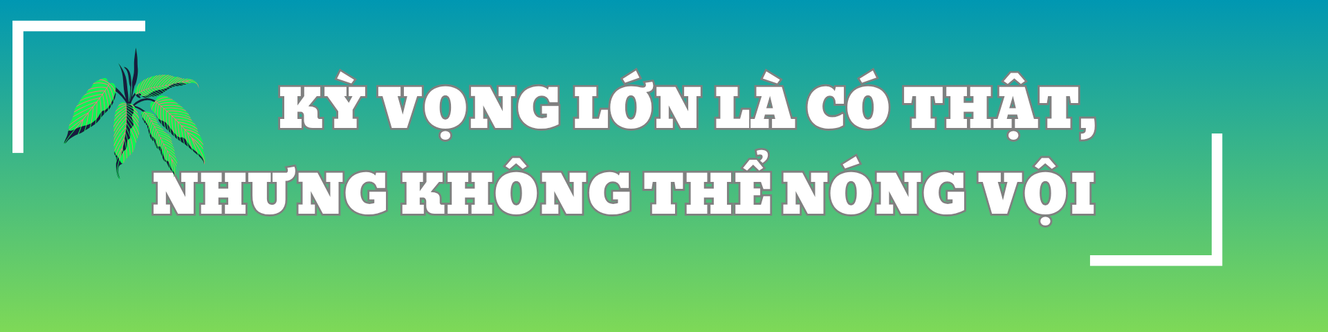 CEO Trương Mạnh Hải: Muốn đi đường dài, Nam dược phải bắt đầu từ cái gốc