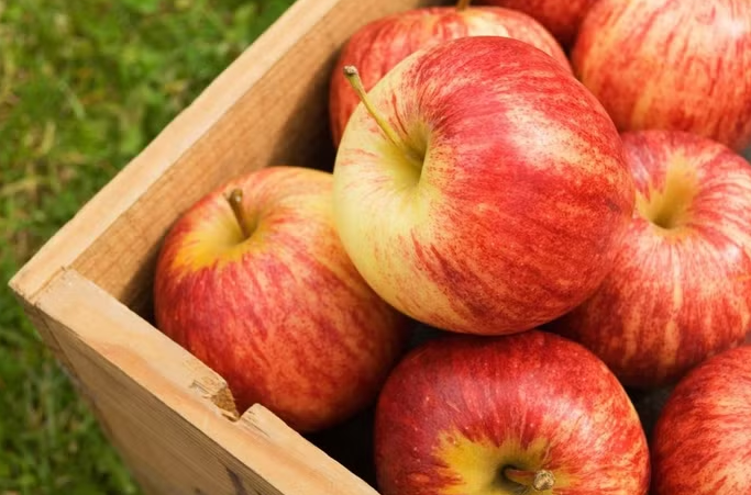 Mùa hè ăn quả gì để giữ vòng eo thon gọn?