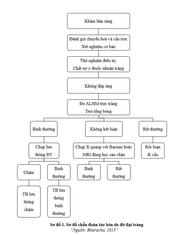Tiếp cận chẩn đoán bệnh nhân táo bón mạn tính do đờ đại tràng