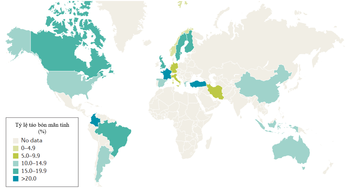 Tiếp cận chẩn đoán bệnh nhân táo bón mạn tính do đờ đại tràng