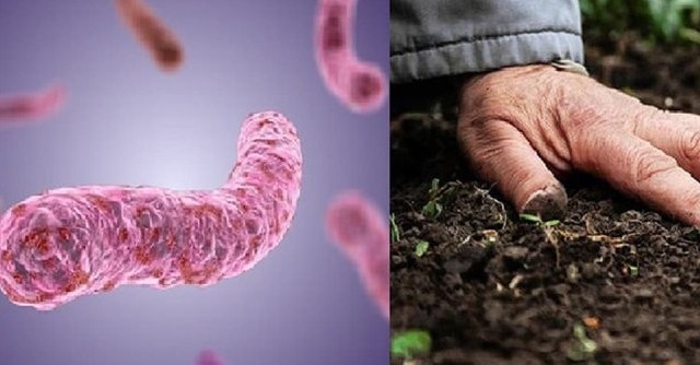 Bộ Y tế cảnh báo, đưa ra các biện pháp phòng ngừa bệnh "sốt đất"