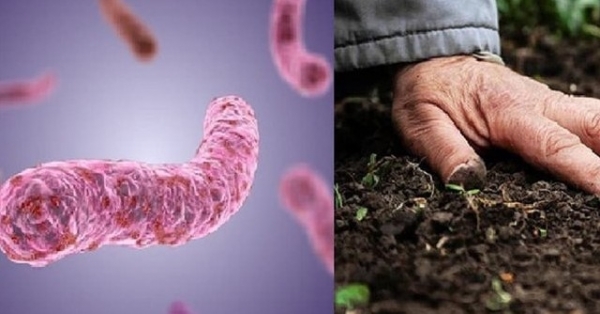 Bộ Y tế cảnh báo, đưa ra các biện pháp phòng ngừa bệnh "sốt đất"