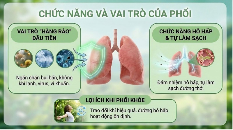 Thiên Môn Bổ Phổi: Giải pháp cho người hay ho lâu ngày không khỏi Thiên Môn Bổ Phổi: Giải pháp cho người hay ho lâu ngày không khỏi
