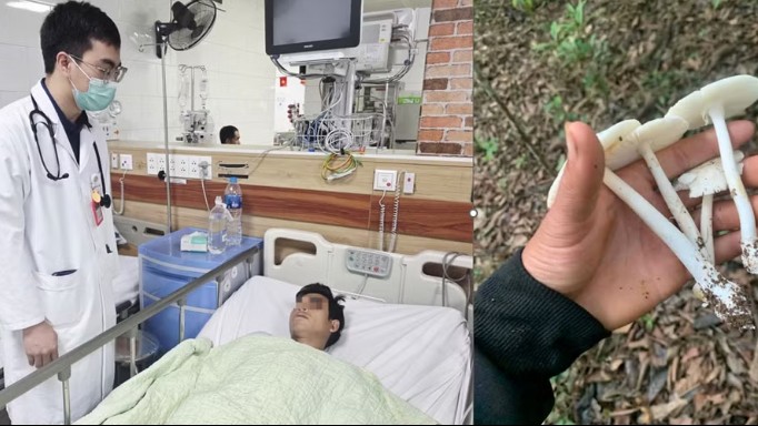 Nấm độc khó phân biệt bằng mắt thường, chuyên gia khuyến cáo tuyệt đối không ăn
