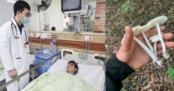 Nấm độc khó phân biệt bằng mắt thường, chuyên gia khuyến cáo tuyệt đối không ăn