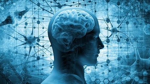 Bí kíp luyện não bộ chiến thắng thói quen xấu