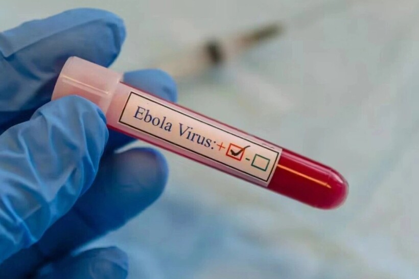 Tăng cường phòng chống Ebola, lưu ý trường hợp nhập cảnh từ nước có dịch trong 21 ngày Tăng cường phòng chống Ebola, lưu ý trường hợp nhập cảnh từ nước có dịch trong 21 ngày