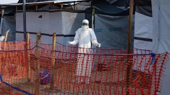Không loại trừ khả năng bệnh Ebola xâm nhập Việt Nam