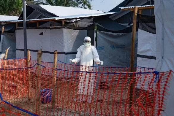 Không loại trừ khả năng bệnh Ebola xâm nhập Việt Nam