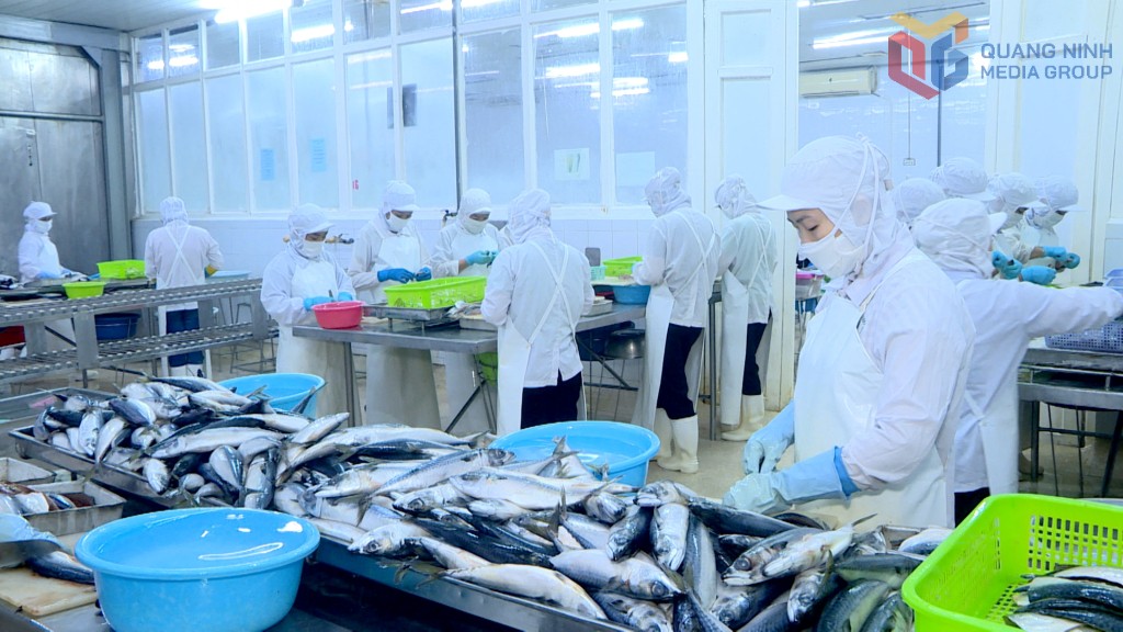 Mặt hàng xuất khẩu chủ yếu của Công ty CP XNK Thủy sản Quảng Ninh