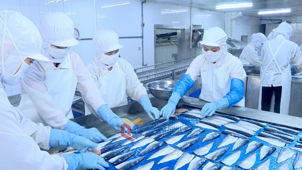Nâng tầm giá trị biển, khẳng định thương hiệu Việt trên thị trường quốc tế