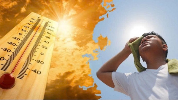 Nhiều ca suy thận cấp nguy hiểm do làm việc lâu dưới trời nắng nóng, thiếu nước