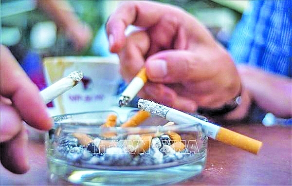 Hút thuốc lá làm giảm hấp thu canxi và đẩy nhanh quá trình loãng xương. Hút thuốc lá làm giảm hấp thu canxi và đẩy nhanh quá trình loãng xương.