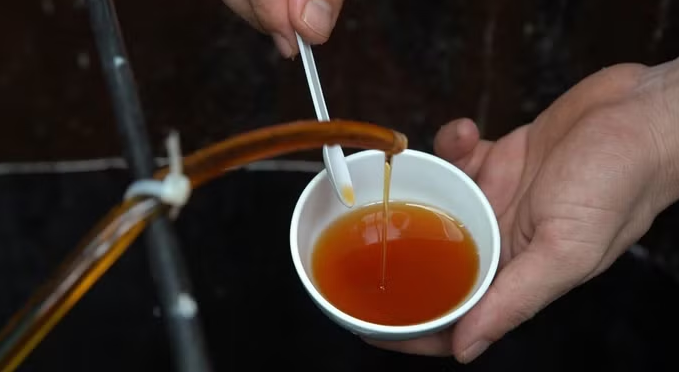 Dùng nước mắm như nào để không hại tim mạch và thận?