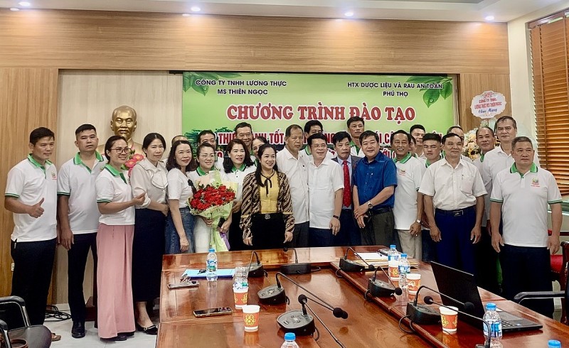 Phú Thọ: Tổ chức lớp tập huấn GACP-WHO, thúc đẩy phát triển cây dược liệu Ms Nữ Hoàng Phú Thọ: Tổ chức lớp tập huấn GACP-WHO, thúc đẩy phát triển cây dược liệu Ms Nữ Hoàng