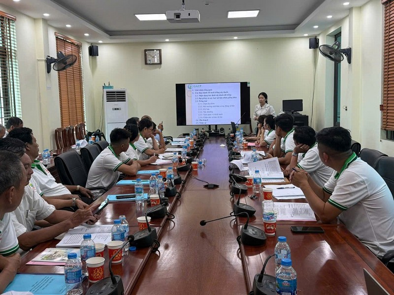 Phú Thọ: Tổ chức lớp tập huấn GACP-WHO, thúc đẩy phát triển cây dược liệu Ms Nữ Hoàng Phú Thọ: Tổ chức lớp tập huấn GACP-WHO, thúc đẩy phát triển cây dược liệu Ms Nữ Hoàng