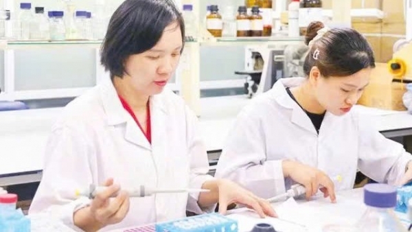 Mở rộng ứng dụng hoạt chất tự nhiên bằng công nghệ nano