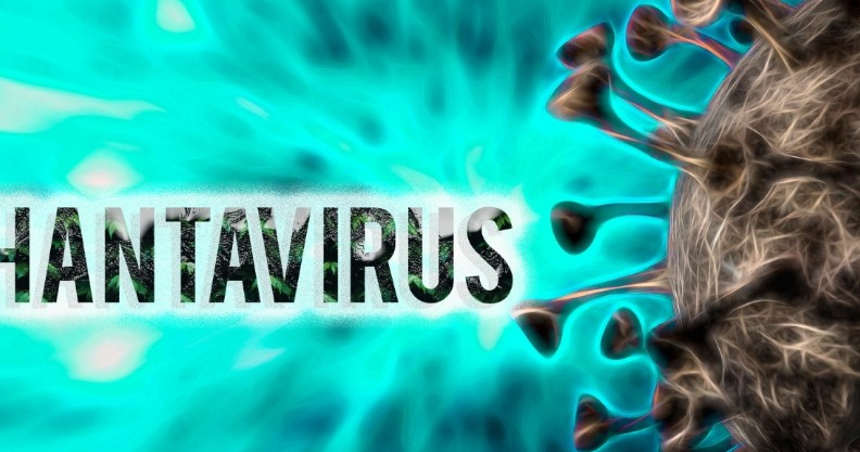 Ổ dịch do virus Hanta (chủng Andes-ANDV) đã được kiểm soát và không còn là nguy cơ y tế công cộng