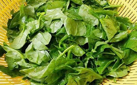 10 lợi ích sức khỏe nổi bật của rau mồng tơi