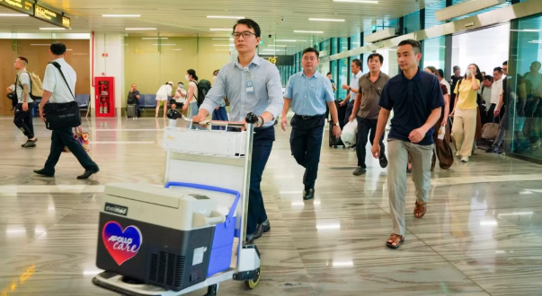 Bệnh viện Đại học Y dược Thành phố Hồ Chí Minh thực hiện ca ghép tim trong 65 phút Bệnh viện Đại học Y dược Thành phố Hồ Chí Minh thực hiện ca ghép tim trong 65 phút