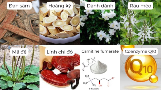 Tăng creatinin máu: Dấu hiệu cảnh báo chức năng thận suy giảm Tăng creatinin máu: Dấu hiệu cảnh báo chức năng thận suy giảm