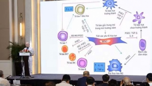 Tế bào gốc không phải "phép màu" có thể chữa mọi bệnh